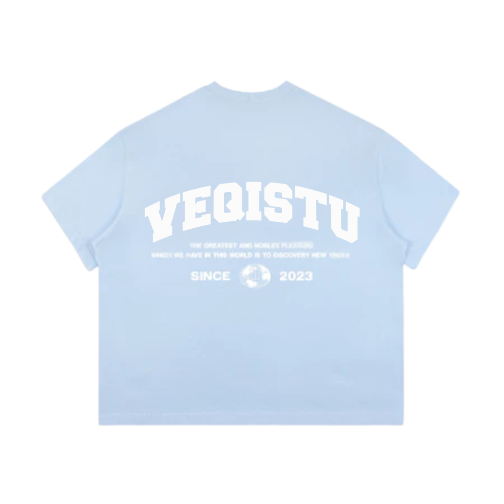 Áo Thun BOXY Local Brand VEQISTU "EARTH", Áo Thun Boxy Form Rộng Unisexm Nam Nữ Cổ Tròn 250Gsm 100% Cotton